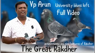 The Great Rakdher  achievements and features of Rakdher ￼amp Top qulaty Collection Tumbler pigeons [upl. by Kirst]