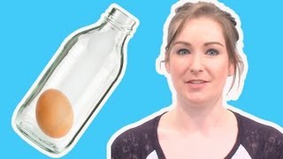 How to get an egg inside a bottle  Live Experiments Ep 28  Head Squeeze [upl. by Sset]