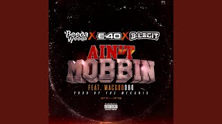 Aint Mobbin [upl. by Aniehs]