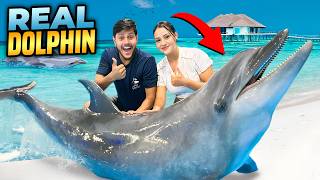 ডলফিনের সাথে সাঁতার কাটলাম  Swim With REAL DOLPHINS 🐬  Rakib Hossain [upl. by Constancia]