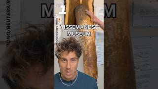 Verdens MÆRKELIGSTE museer ultranyt shorts [upl. by Tse]