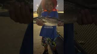 Weakfish takes the bait Go Get’em weakfish bridgefishing fish [upl. by Nibot]