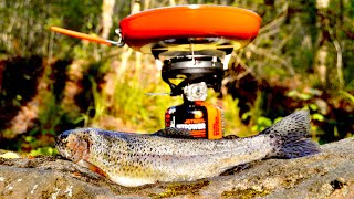 Chattooga River Trout Fishing CATCH and COOK [upl. by Leahcimauhsoj227]