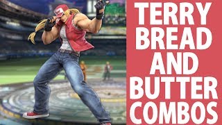 Terry Bread and Butter combos Beginner to Pro [upl. by Rramel114]