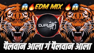 Pailwan Aala G Pailwan Aala  EDM MIX  Pailwan Aala DJ Song  DJ Ravi RJ [upl. by Milissa]