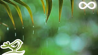 Relaxing Music amp Rain Sounds  Beautiful Piano Music Background Music Sleep Music • You amp Me [upl. by Aruon479]