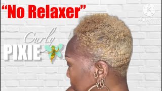 NO RELAXER  ALOPECIA SHORT CURLY PIXIE 🧚 HAIRSTYLES  HAIRPROBLEMSNOEDGES [upl. by Tann591]