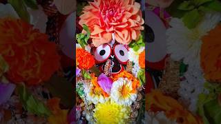 Tunde thau tuma naam  New 4k video  New jagannath bhajana love jagannathwhatsupst odiabhajan [upl. by Nangem]