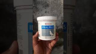 VERSELELAGA PRODUCT IDEAL PILLS FOR PIGEONS pigeon idealpills verselelaga youtubevideo [upl. by Arot]