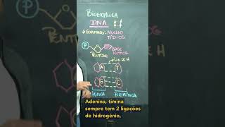 Bases nitrogenadas  DNA [upl. by Nyret]