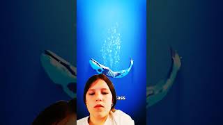 ocean whale shark whalevomit animals whalewatching graywhale nature whaleshark like [upl. by Nnaecyoj540]