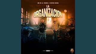 La organizacion [upl. by Sieber30]