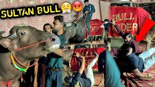 SULTAN BULL 🐂 Ne Ganga Snan Pr Humare Tent Mai Aa Kr😡😤GUSSE Mai Sabko Gira Diya  चाचा भी गिर गए 🥺 [upl. by Anahsek274]