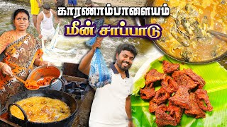 காவிரி கரையில் உயிரோடு மீன் பிடித்து மீன் குழம்பு வறுவல் தரும் கடை 🐟 Karanampalayam Dam Fish Meals [upl. by Dragde]