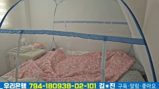 요즘 근황  이사후기 71 원터치 모기장 amp 닌자 블랜더 감자 가는법 [upl. by Pamelina778]