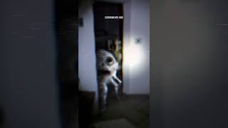 HorrorCore  3 horror liminalcore liminalspace creepypasta backrooms experimento96b [upl. by Vod337]