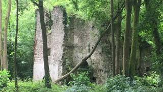 Ancient Ireland  Delahunty’s Mills amp John Meades Pub 1705 Co Waterford [upl. by Ellita]