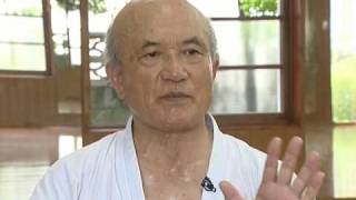 Shorinryu Seibukan History of karate Part 2 23 [upl. by Lacie]