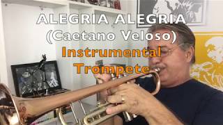 Alegria Alegria Caetano Veloso Instrumental Trompete [upl. by Isaak881]