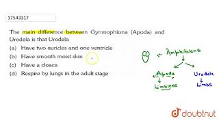 The main difference between Gymnophiona Apoda and Urodela is that Urodela [upl. by Sivie420]