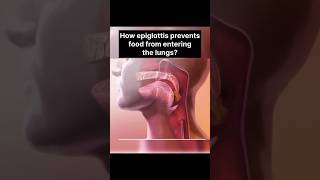 How epiglottitis help us  shorts epiglottitis [upl. by Krispin]