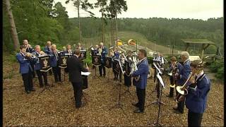 Haslemere Town Band [upl. by Shum]