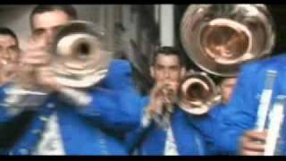 Arrolladora Banda El Limon  Los Puritos Huesos [upl. by Oxley]