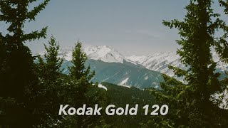 A Kodak Gold Road Trip [upl. by Cohbert389]