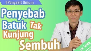 Penyebab Batuk Tak Kunjung Sembuh [upl. by Arliene]