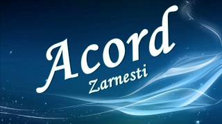 Formatia Acord Zarnesti sarba [upl. by Cyrano187]