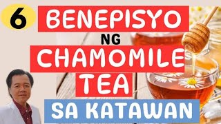 6 Benepisyo ng Chamomile Tea sa Katawan  By Doc Willie Ong internist and Cardiologist [upl. by Ortiz]