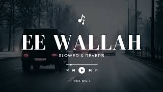 Ey Wallah Mehtajeda Slowed  Reverb  Rebel Remix [upl. by Recnal]