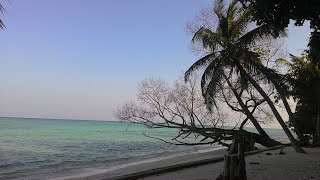 Scuba Diving at Havelock Island Andaman India scubadiving Havelock havelockisland andaman [upl. by Barde]