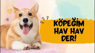 Köpeğim Hav Hav Der 🐶  Eğlenceli Çocuk Şarkısı [upl. by Norrahc]