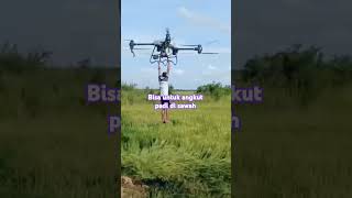 Uji coba drone pengangkut padi [upl. by Gearalt]