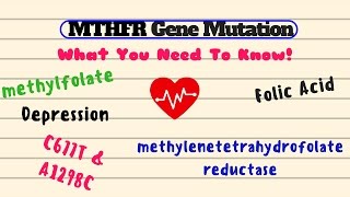 MTHFR Gene Mutation What You Need to Know [upl. by Nilloc871]