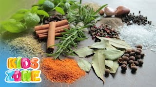 Herbs and Spices for Kids  Spices Vocabulary  Different types of Herbs Names In English [upl. by Linehan]