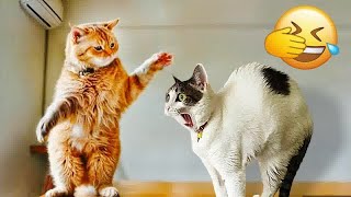 Funniest Dogs and Cats ❤️🙀 Funny Animal Moments 2024 🐶 [upl. by Notsag464]