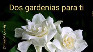 Dos gardenias para ti [upl. by Rema]