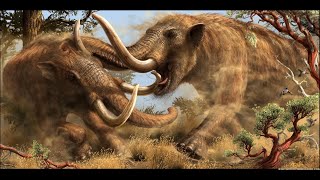 Mastodons Extinct Elephant Relatives [upl. by Leahcimal980]