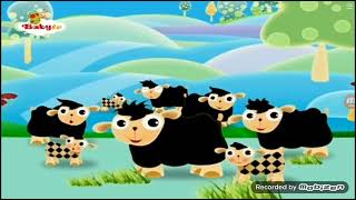 Baby Butterfly watch the sheeps Baby TV English ident [upl. by Ocsinarf]