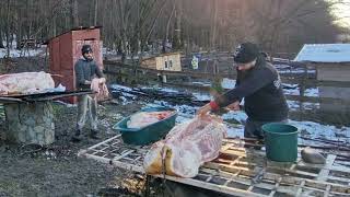 Pregatim Pomana Porcului Impreună Cu Geanina Si Vlăduț La Casuta Din Padure [upl. by Nataniel]