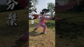 Introduction to Chinese Kung Fu Tutorial Taijiquan Female Master Twentyfour Basic Skills [upl. by Nehte766]