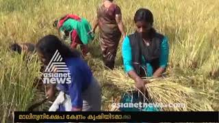 Success story in Fallow land farming by natives from Kothamangalam [upl. by Adnertal]