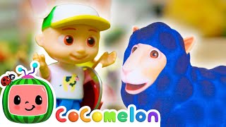 Baa Baa Wooly Black Sheep  🐑🎀  Toy Play Learning  CoComelon Nursery Rhymes amp Kids Songs [upl. by Notwen]