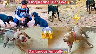 Dost K Dog Kennel Par Gye🐶Dangerous Ambully Dog Dekha😱Rotwiller Vs Ambully🔥Hogye [upl. by Alburga]