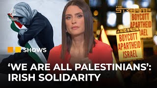 Understanding Irelands solidarity with Palestine  The Stream [upl. by Connett]