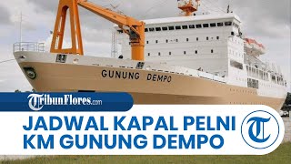 Jadwal Kapal Pelni KM Gunung Dempo 110 Oktober 2024Terdekat SorongManokwari 4 Kali Sandar Nabire [upl. by Urania425]