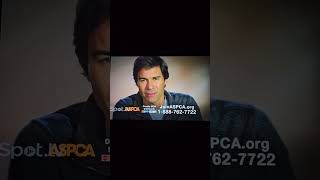 aspca commercial 2014 [upl. by Legnalos]