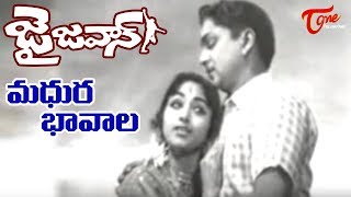 Jai Jawan Movie ANR Old Songs  Madhura Bhaavala Song  ANR  Bharathi  Old Telugu Songs [upl. by Adnorehs925]